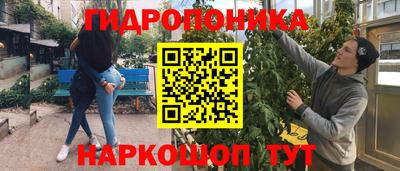 прущие грибы Краснокаменск