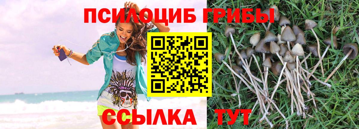 ТГК Гусь-Хрустальный